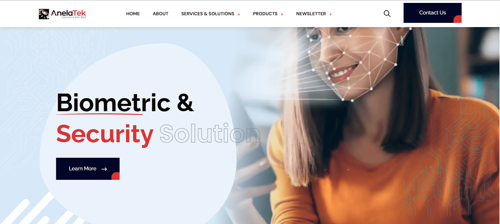 Anela-Tek - Technology Company Website